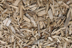 biomass boilers Wedderlairs